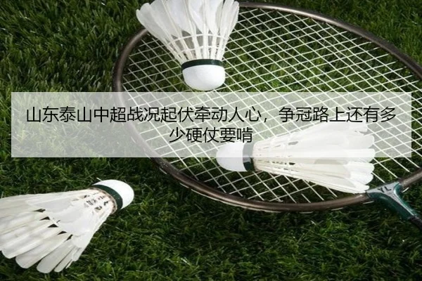 山东泰山中超战况起伏牵动人心，争冠路上还有多少硬仗要啃